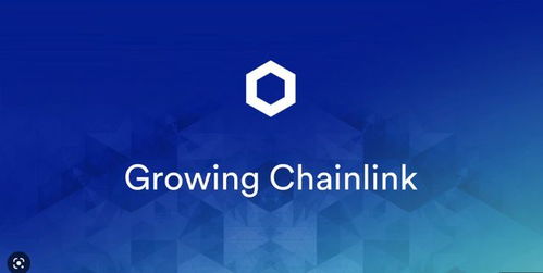 chain link crypto,Chain Link Crypto: A Comprehensive Guide1