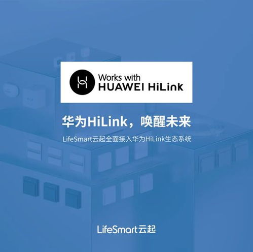 life link,Understanding the Life Link Wireless Network Card