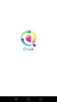 q-link,Understanding the Q-LINK Device