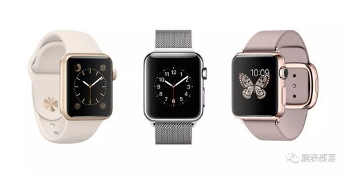 apple watch leather link,Apple Watch Leather Link: A Comprehensive Guide