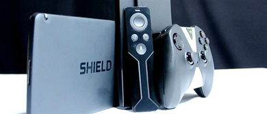 links shield,Links Shield: A Comprehensive Overview2