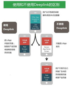 red sex link chickens,Red Sex Link Chickens: A Comprehensive Guide