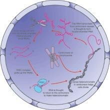 x linked inheritance diseases,x Linked Inheritance Diseases: A Detailed Overview1