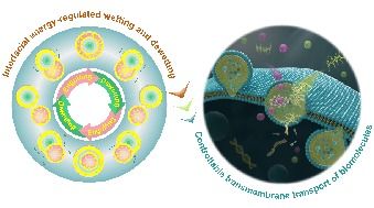 strange syndrome linked to regular,Strange Syndrome Linked to Regular Activities: A Detailed Exploration2