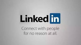 linked in allyson btindon,LinkedIn Profile Overview2