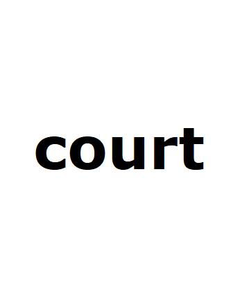 court link,Understanding the Concept of Court1