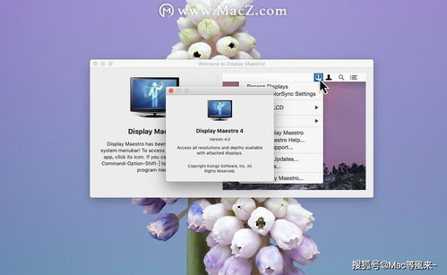 best display link device for mac,Best Display Link Device for Mac: A Comprehensive Guide2