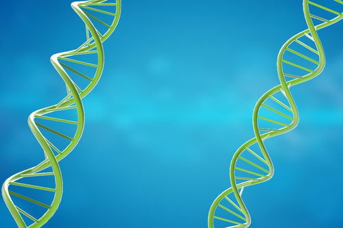 x-linked hypophosphatemia,x-linked Hypophosphatemia: A Comprehensive Overview1