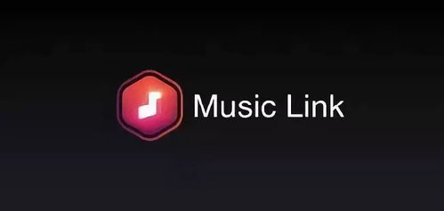 music link,Popular Music Link Models1