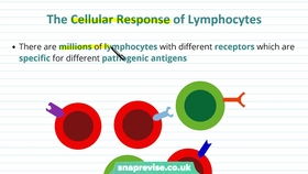 link reaction,Link Reaction: A Comprehensive Overview2