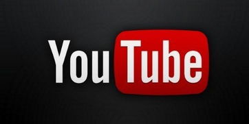 transcript from youtube link free,Transcript from YouTube Link Free: A Comprehensive Guide