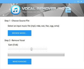 vocal remover youtube link,Vocal Remover YouTube Link: A Comprehensive Guide1