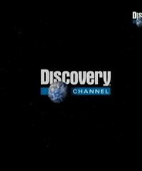 discovery.com link,Exploring Nature’s Beauty2